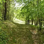 Zum Birkenhof Stechlin