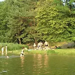 Hotel Zum Birkenhof 3*