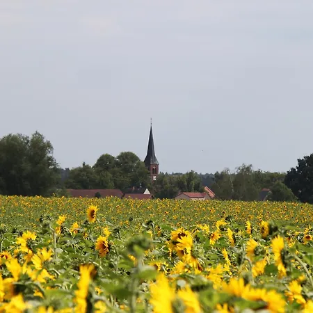 Zum Birkenhof Hotel Stechlin