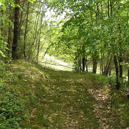 Zum Birkenhof Stechlin