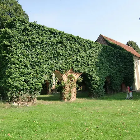 فندق Zum Birkenhof Stechlin