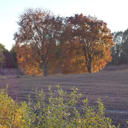 Zum Birkenhof 3* Stechlin