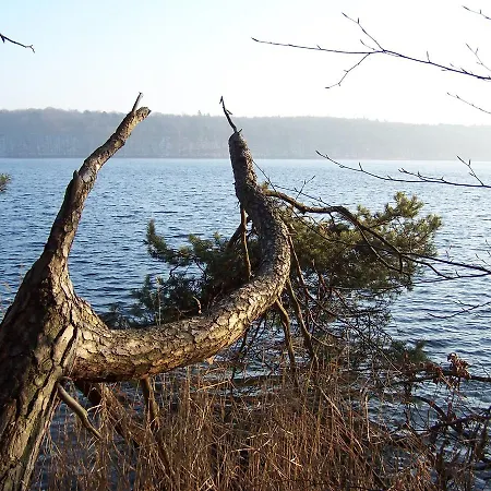 Zum Birkenhof Hotel Stechlin