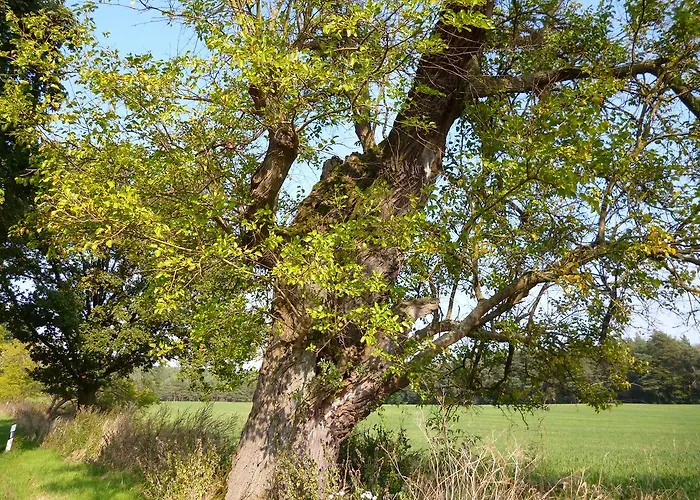 Zum Birkenhof Hotel 3*