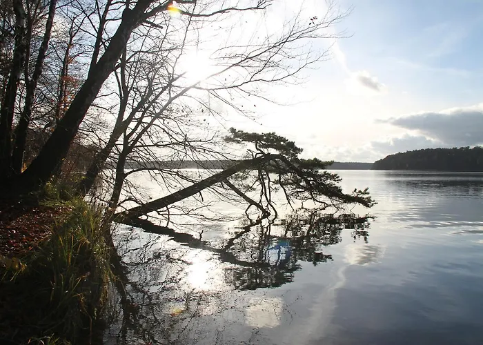 Zum Birkenhof فندق