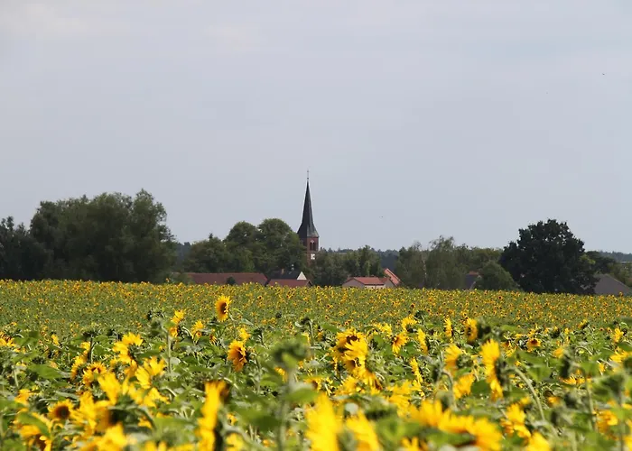 Zum Birkenhof Hotel Stechlin