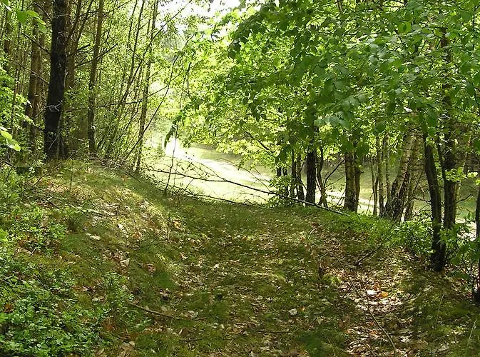 Zum Birkenhof Stechlin