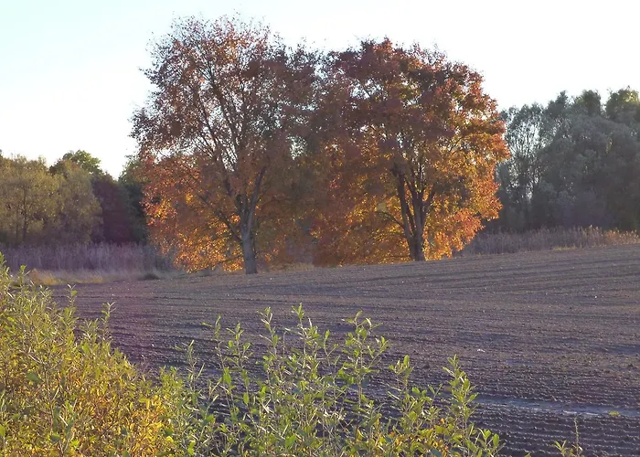 Zum Birkenhof 3* Stechlin