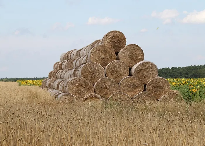Zum Birkenhof Stechlin