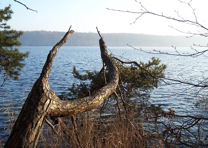 Zum Birkenhof Hotel Stechlin